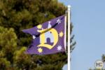 Disneyland Flag