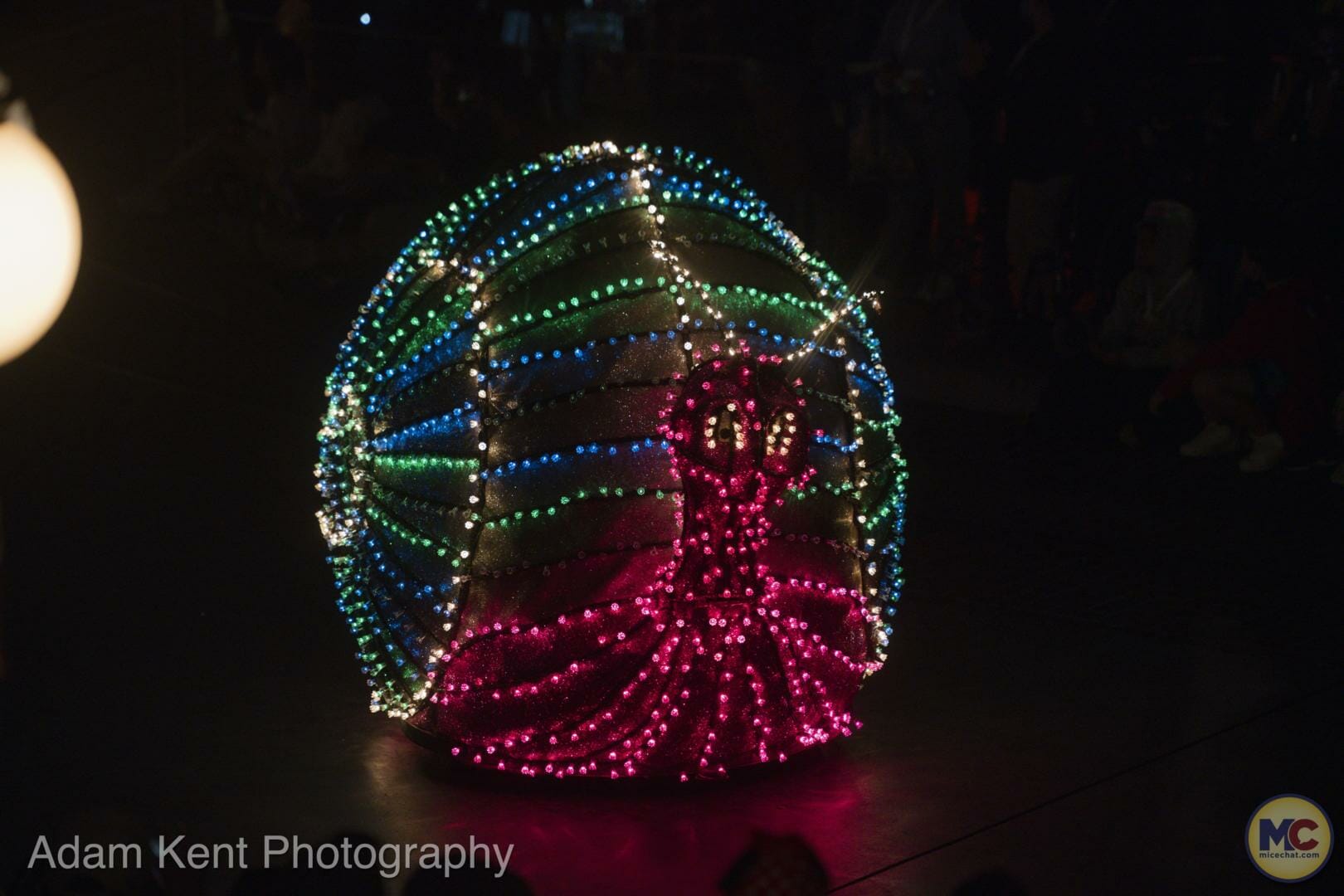 , Disneyland Light and Magic: Our 20 Favorite Main Street Electrical Parade Photos