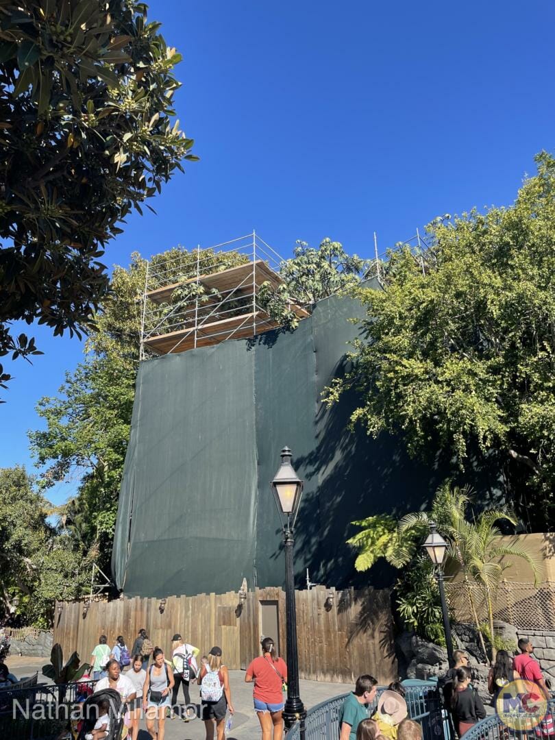 , Disneyland Update – Subs Surface, Crowd Hack & Hammer Time