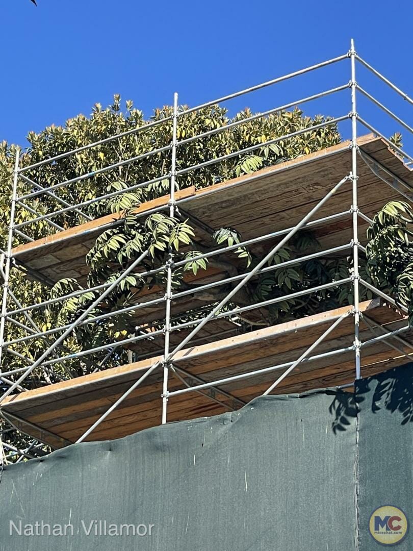 , Disneyland Update – Subs Surface, Crowd Hack & Hammer Time