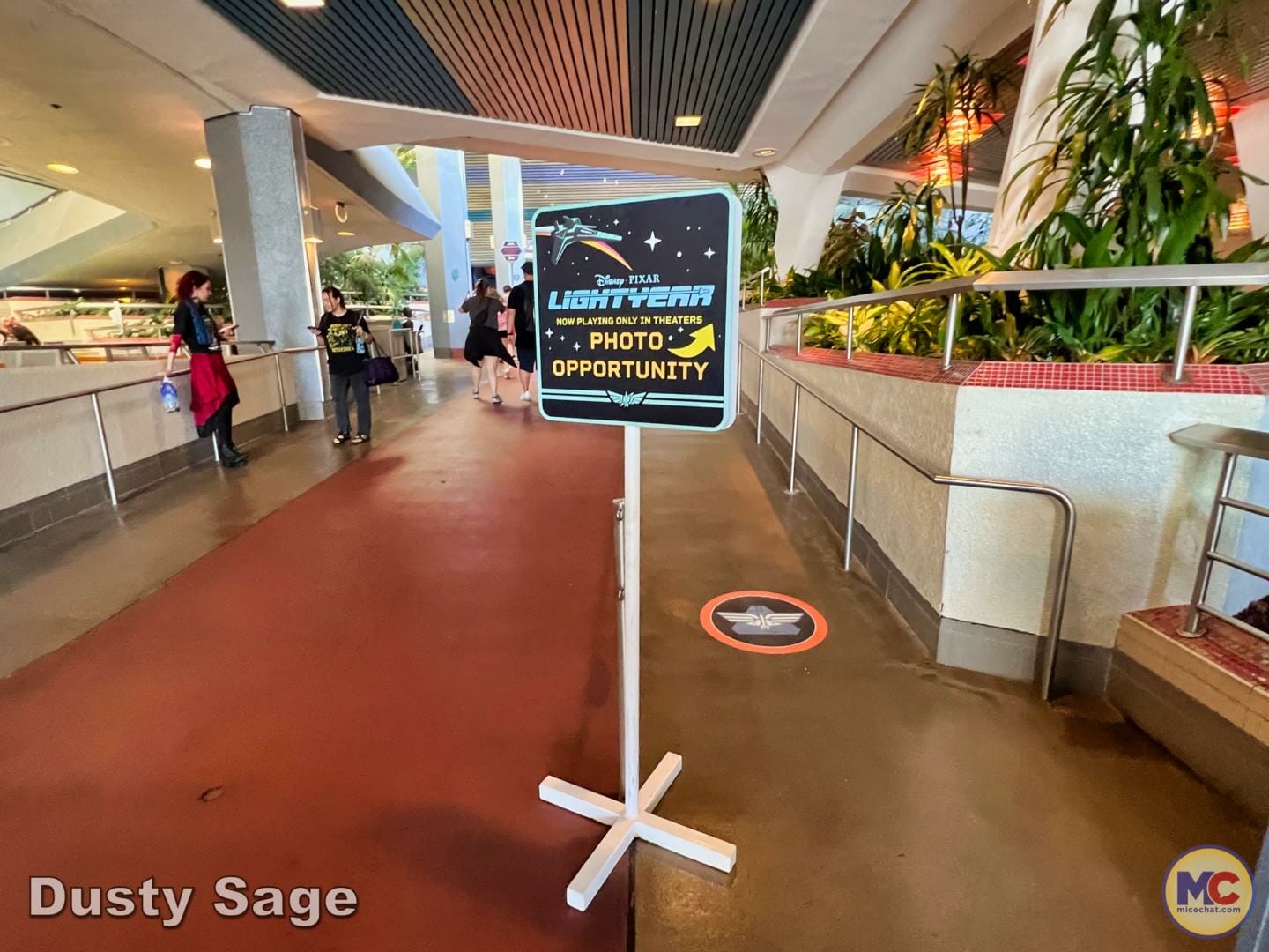 , Disneyland Update – Subs Surface, Crowd Hack & Hammer Time
