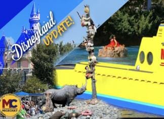 Disneyland Update: Submarines Dive as Passholders Wait to Resubscribe