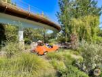 Disneyland autopia orange car-micechat
