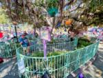 Disneyland crowds mad tea party empty queue friday-micechat