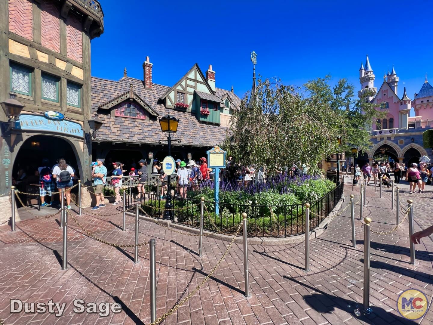 , Disneyland Update – Subs Surface, Crowd Hack & Hammer Time