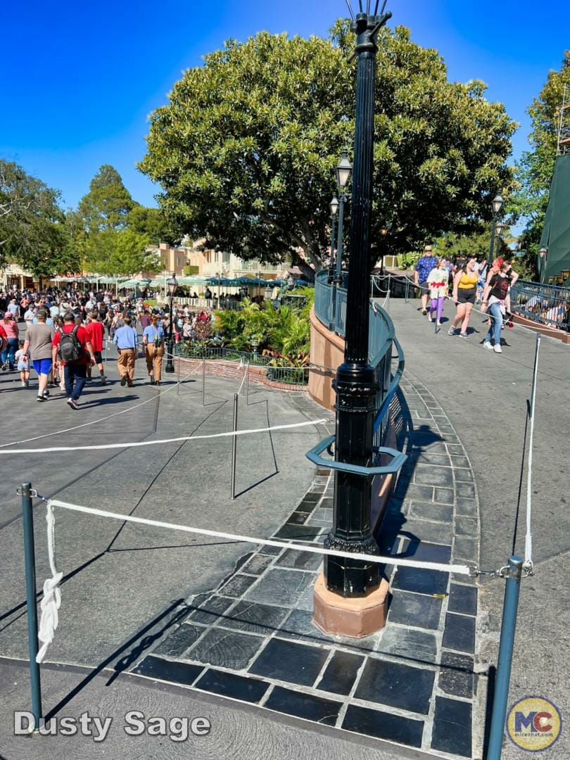 , Disneyland Update – Subs Surface, Crowd Hack & Hammer Time