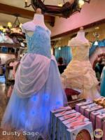 Disneyland fantasyland bibbidi bobbidi Botique dresses-micechat