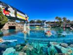 Disneyland tomorrowland sub lagoon monorail 2-micechat