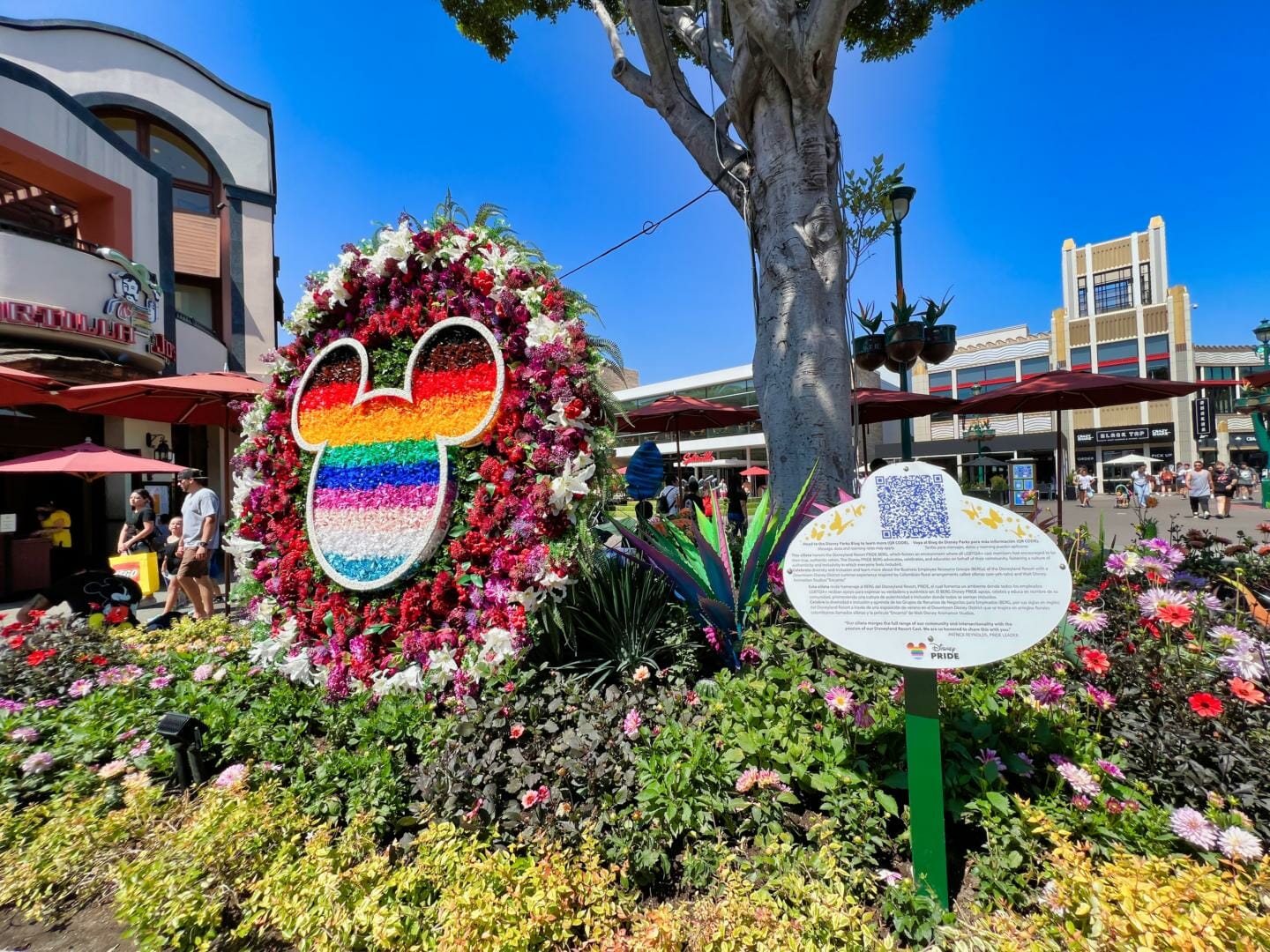 , Disneyland Update – A Storm is Brewing