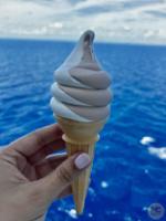 Photo_38Disney Wish DCL Cruise Soft Serve Ice Cream Mickey Festival of Foods