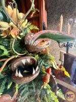 Disneyland Starbucks Halloween Windows
