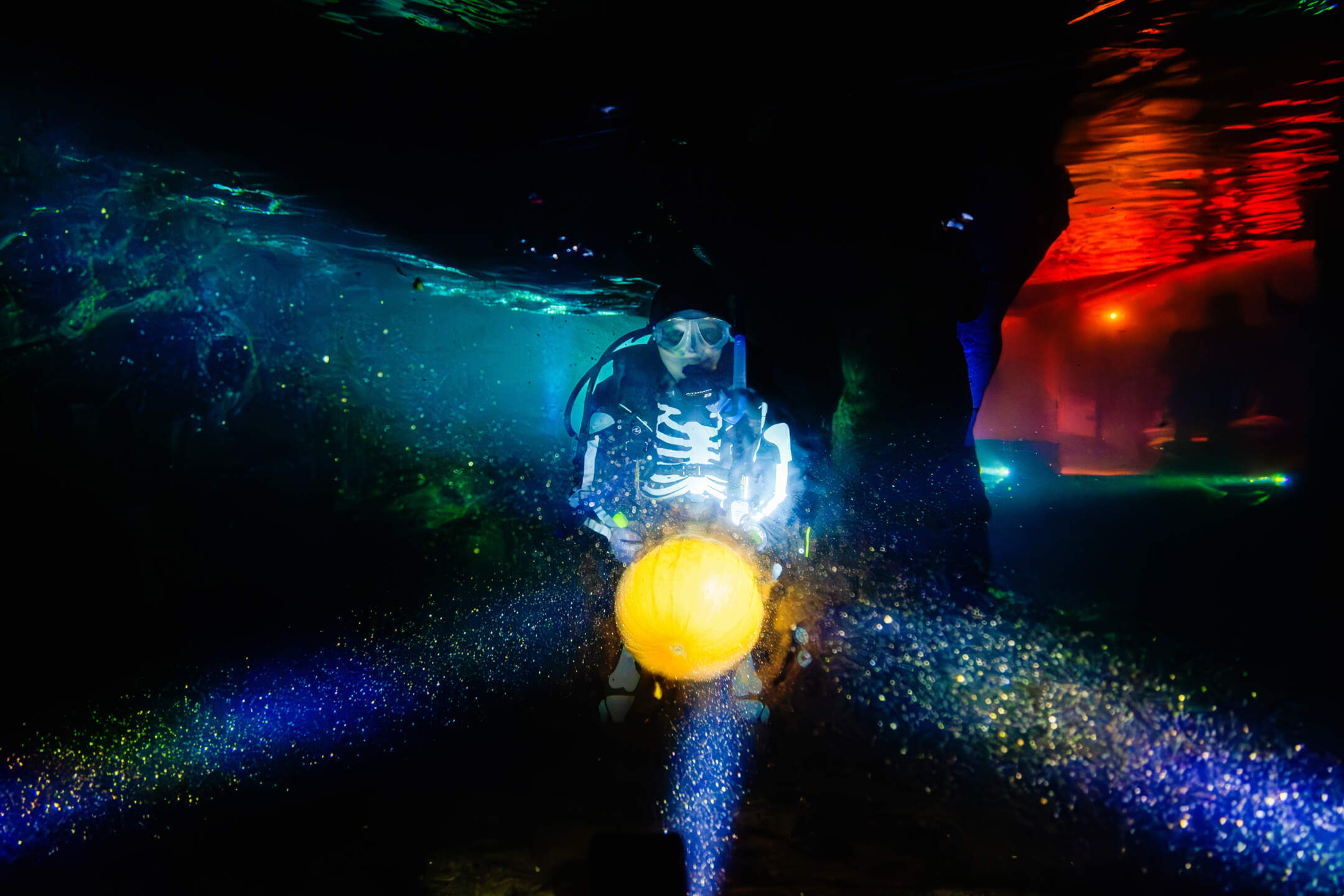 Halloween, Southern California Theme Park Halloween Events – From Mild to Wild!