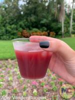 Busch Gardens Bier Fest sangria