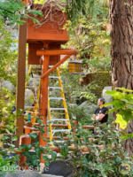 DCA Redwood Creek Villains Grove construction 2