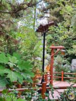 Disney California Adventure halloween redwood creek construction 2-micechat