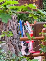 Disney California Adventure halloween redwood creek construction 3-micechat