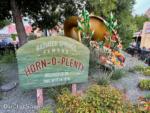 Disney California Adventure radiator springs fall-micechat
