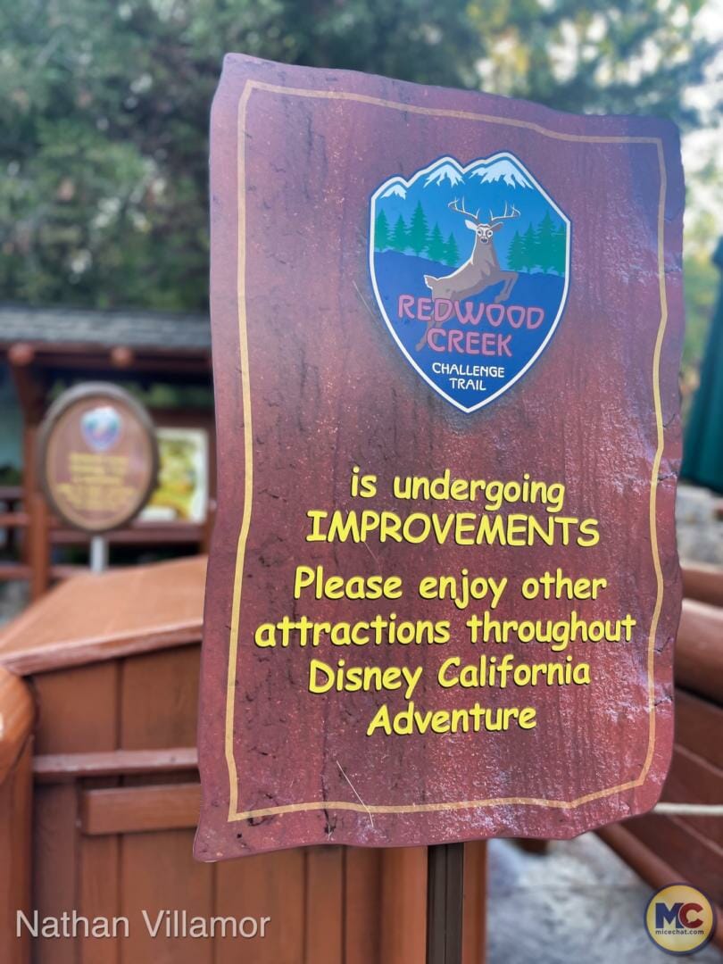 , Disneyland Update – Achievement Unlocked & Preparing for the Future