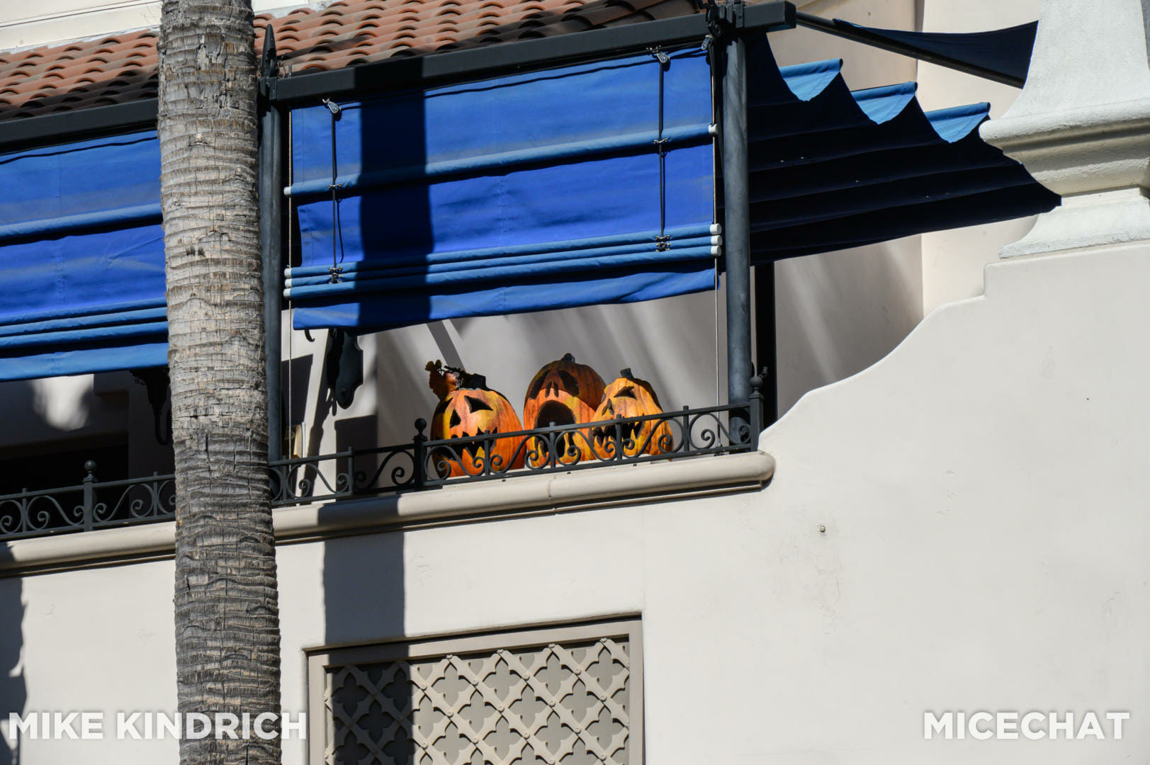 , Disneyland Update: The Unfavorables, Halloween Screams, ToonTown Secrets