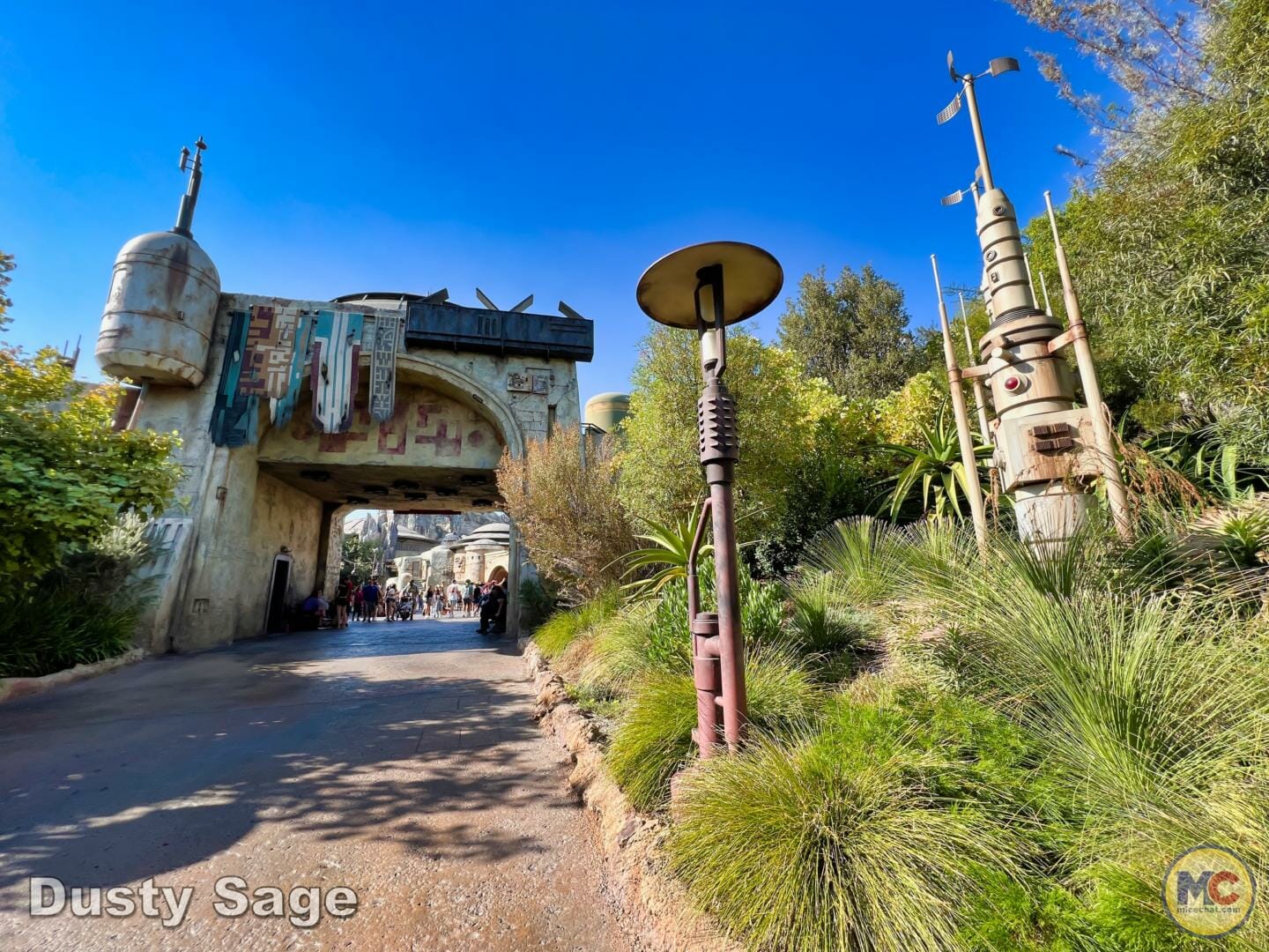 , Disneyland Update – Achievement Unlocked & Preparing for the Future