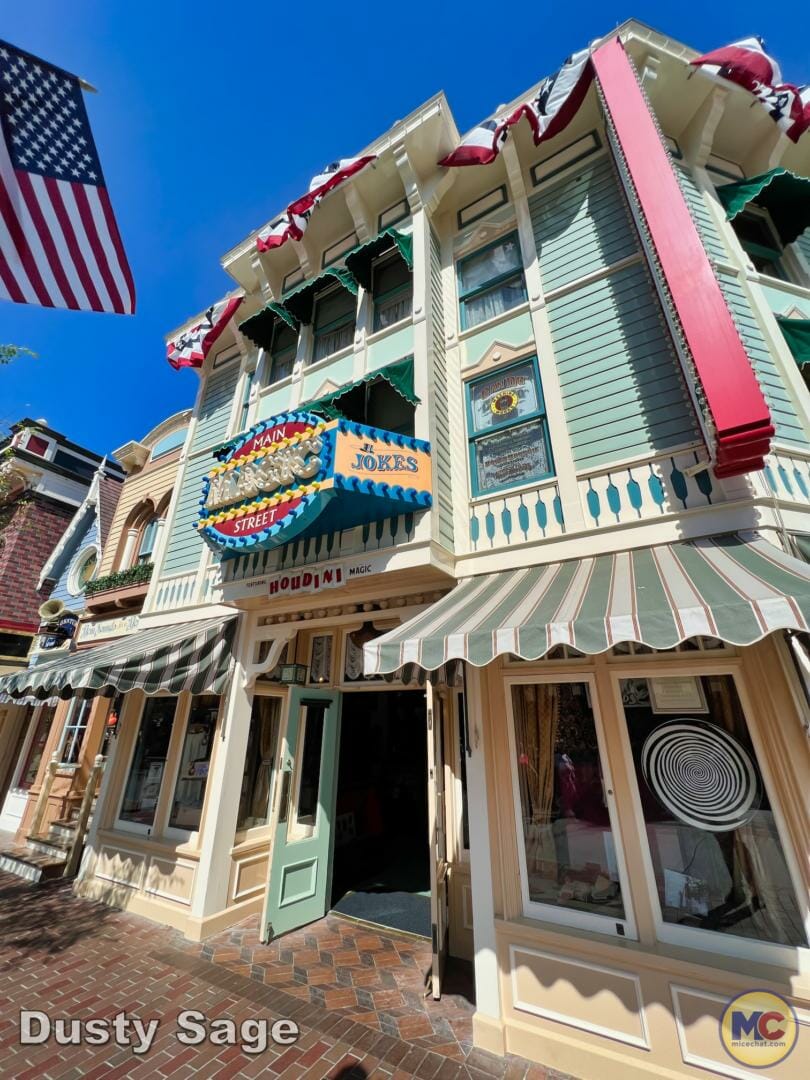 , Disneyland Update – Achievement Unlocked & Preparing for the Future