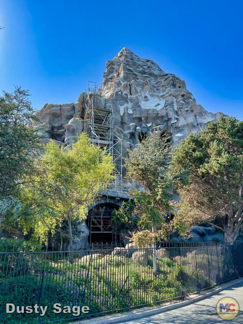 , Disneyland Update – Achievement Unlocked & Preparing for the Future