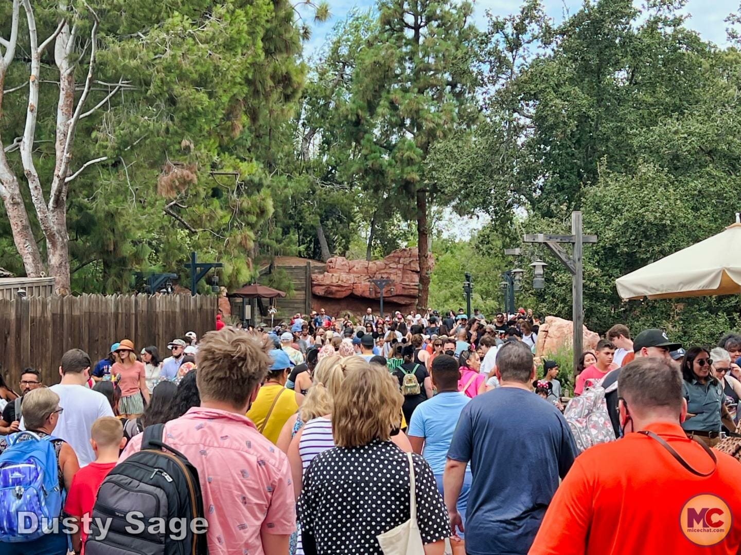 , Disneyland Update Part 1 &#8211; Early Morning Magic Returns, Halloween Begins &#038; Magic Keys Please