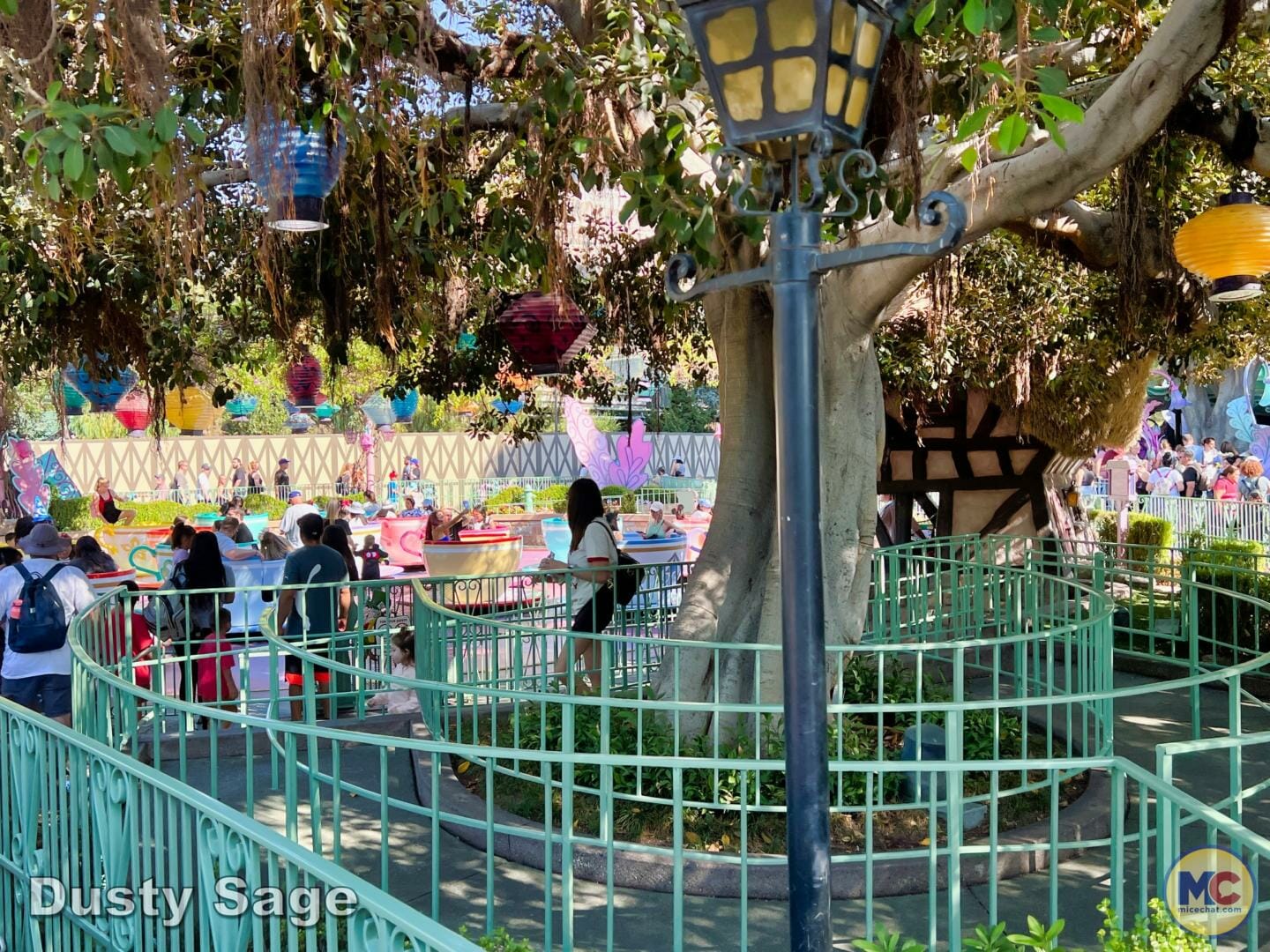 , Disneyland Update – Achievement Unlocked & Preparing for the Future