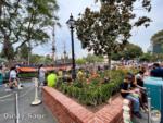 Disneyland Crowds Pirates queue flowers-micechat