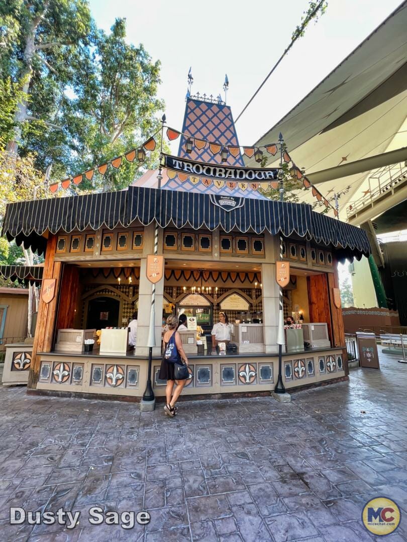 , Disneyland Update – Achievement Unlocked & Preparing for the Future