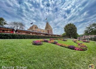 Disneyland Update Part 1 – Early Morning Magic Returns, Halloween Begins & Magic Keys Please