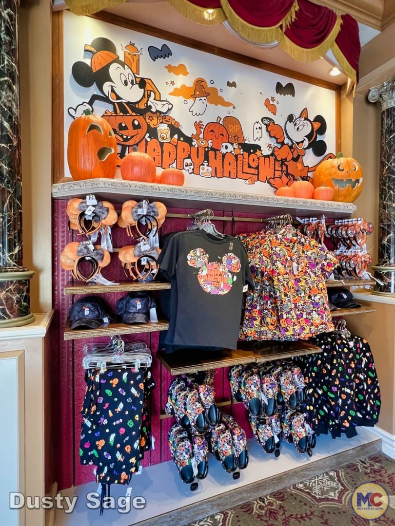 , Disneyland Update – Achievement Unlocked & Preparing for the Future