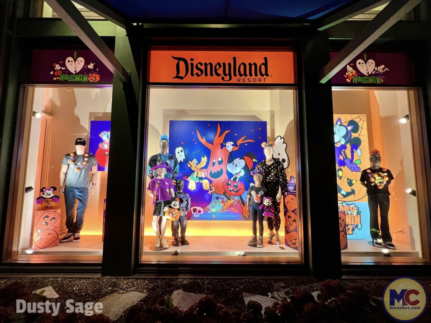 , Disneyland Update – Achievement Unlocked & Preparing for the Future