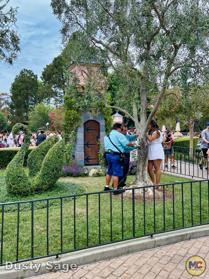 , Disneyland Update Part 1 &#8211; Early Morning Magic Returns, Halloween Begins &#038; Magic Keys Please