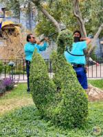 Disneyland Photopass Experience 3-micechat