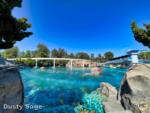 Disneyland beauty Sub Lagoon-micechat