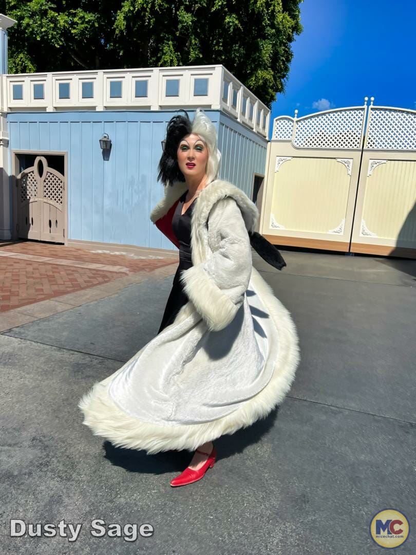 , Disneyland Update – Achievement Unlocked & Preparing for the Future