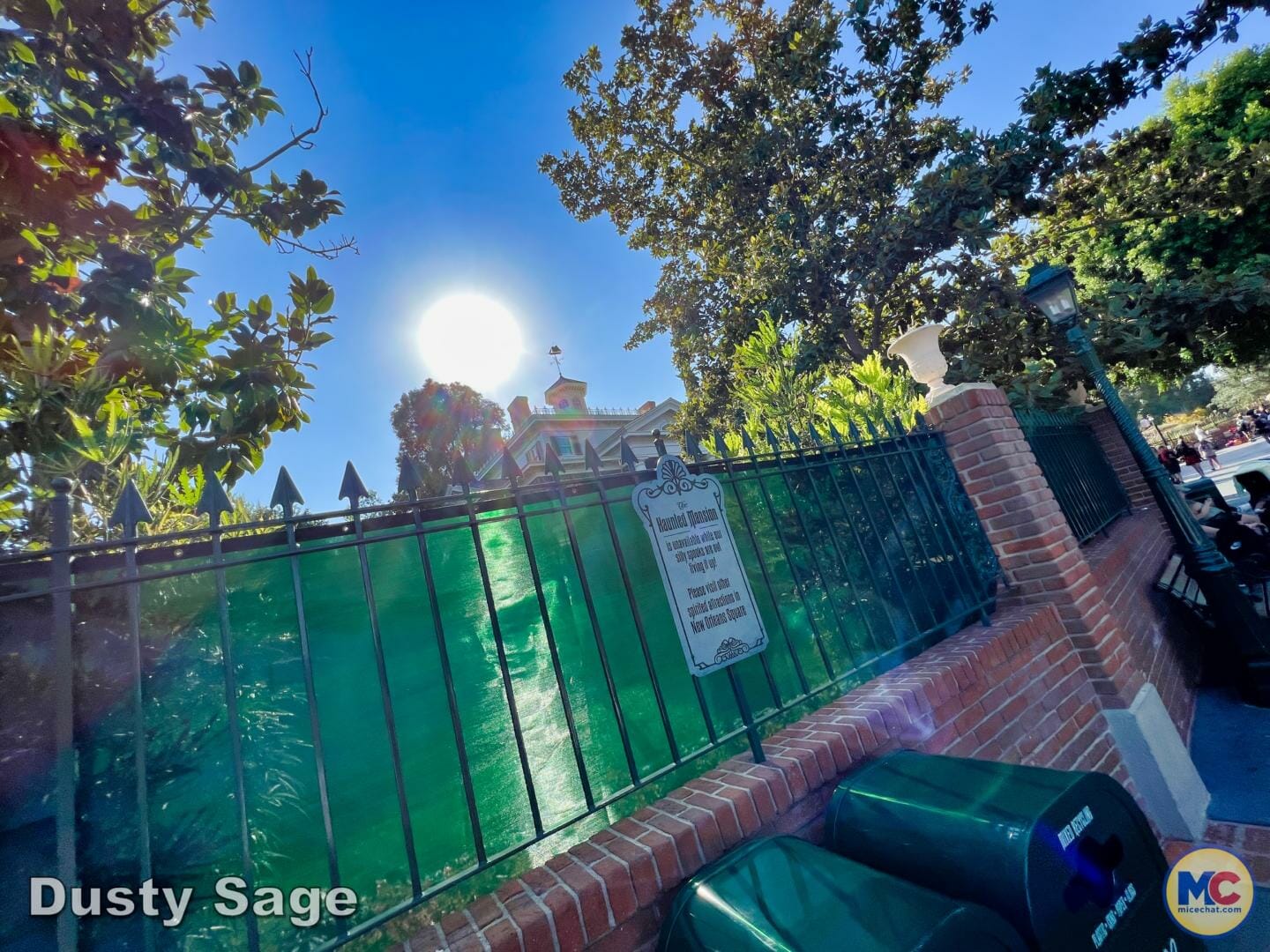 , Disneyland Update – Achievement Unlocked & Preparing for the Future