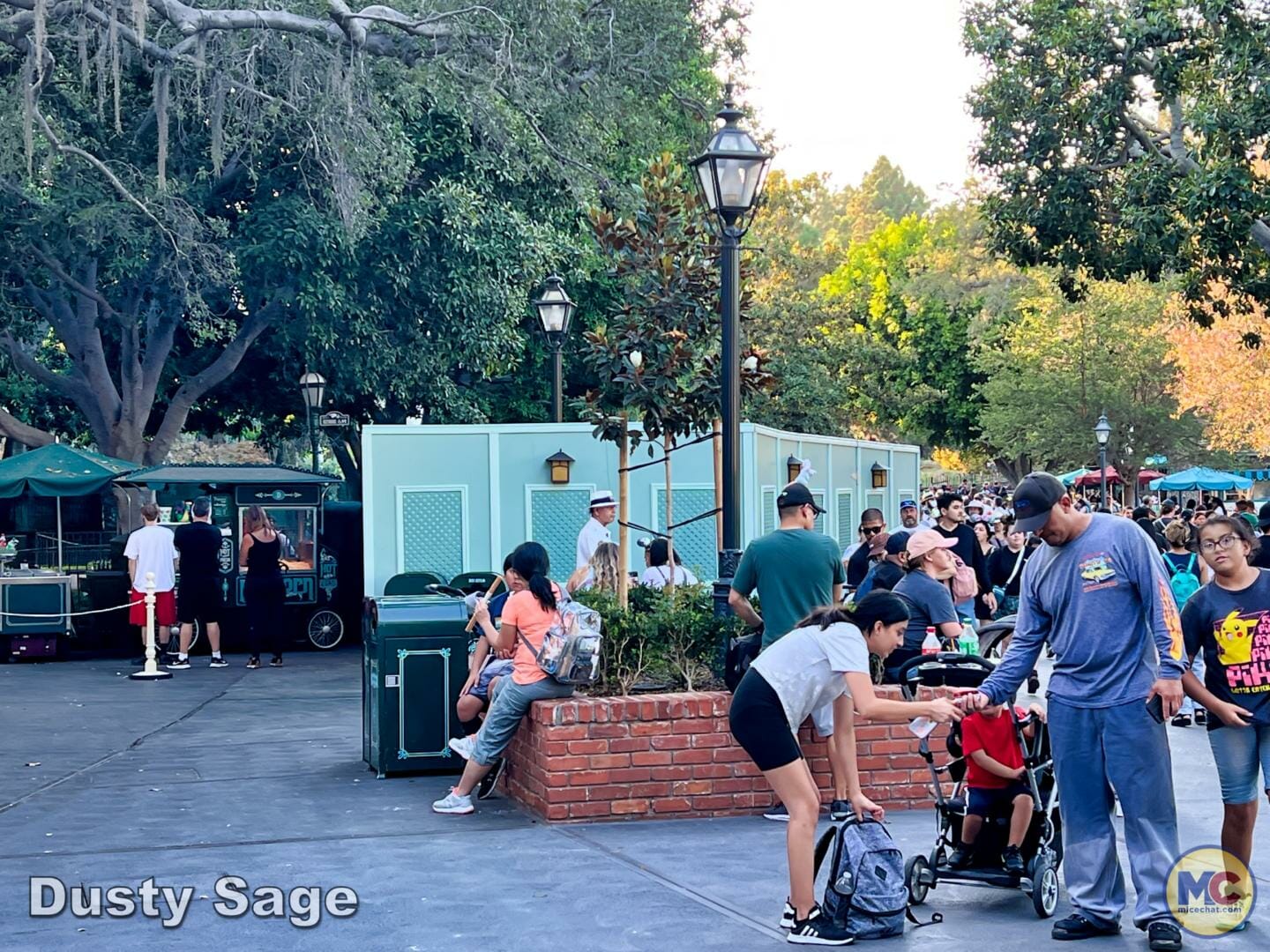 , Disneyland Update – Achievement Unlocked & Preparing for the Future