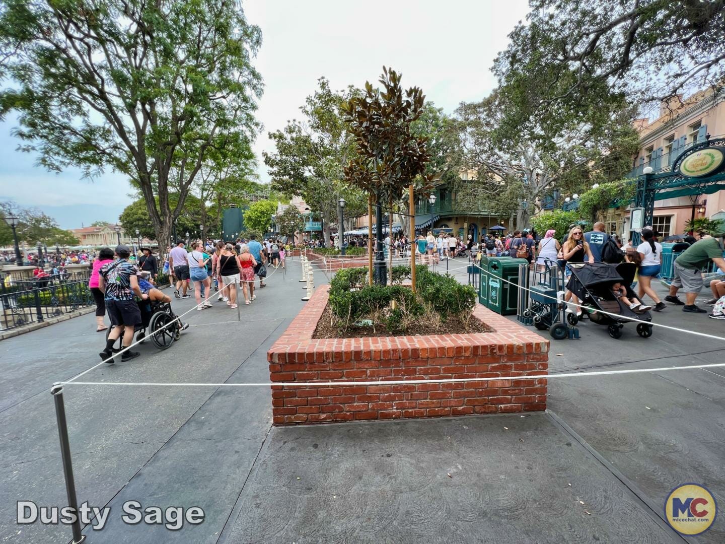 , Disneyland Update Part 1 &#8211; Early Morning Magic Returns, Halloween Begins &#038; Magic Keys Please