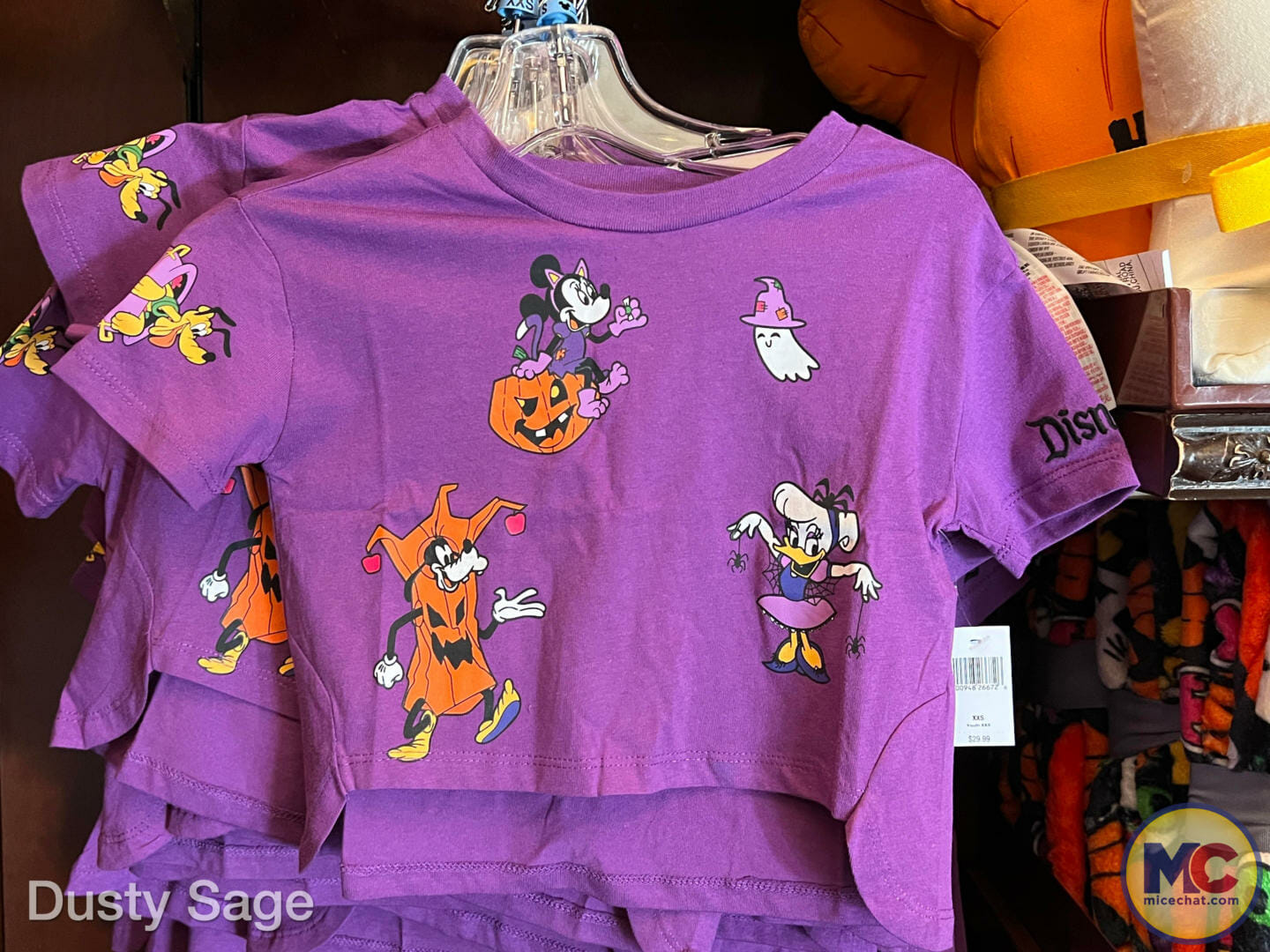 Disneyland Halloween Merchandise, Spooktacular Disneyland Halloween Merchandise Guide 2022!