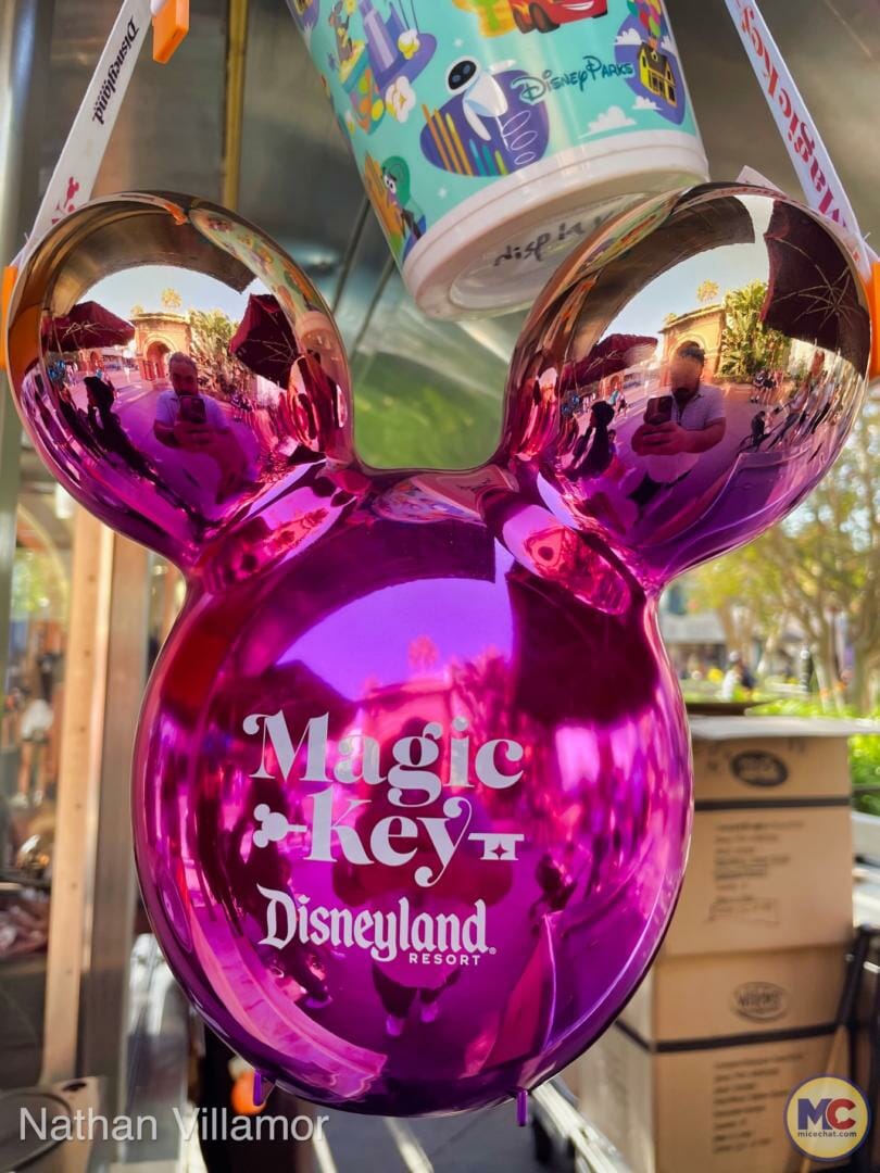 , Disneyland Update – Don’t Let The Door Hit You On The Way Out!