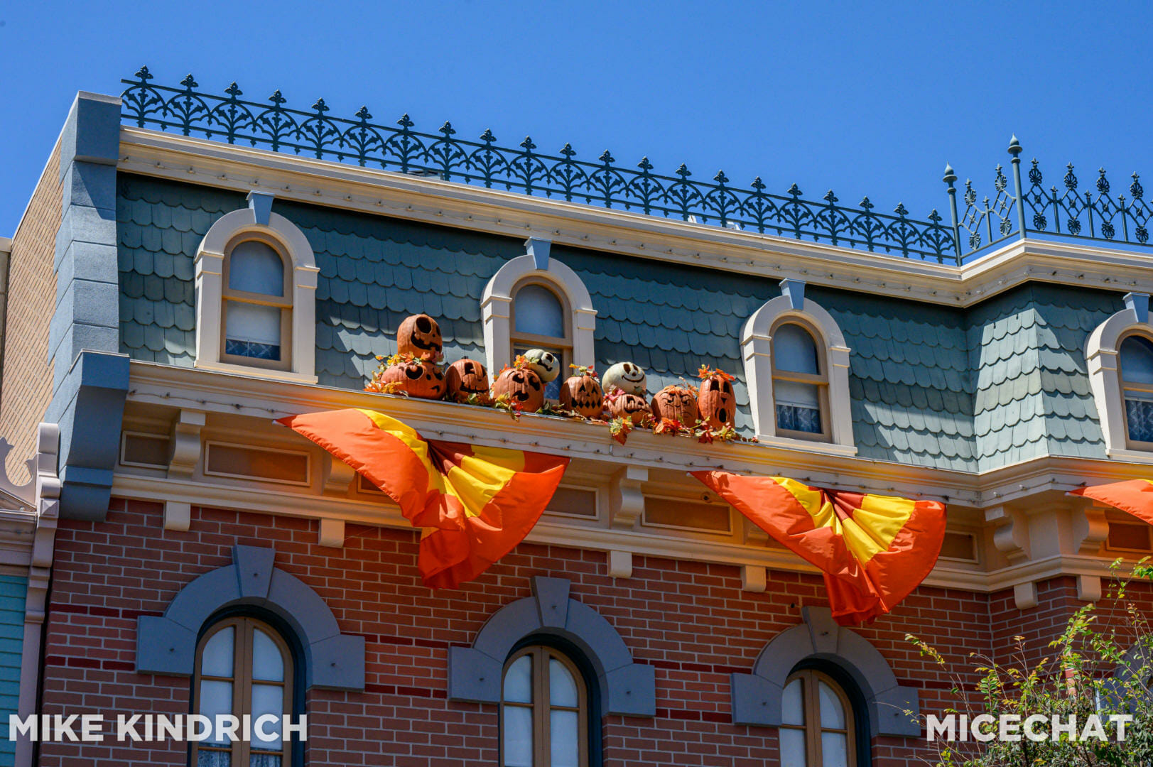 , Disneyland News & Photo Update – Everybody Scream!