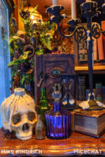 Disneyland_Main Street_Windows_Halloween (1 of 1)-9