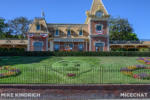Disneyland_Mickey Floral Garden_Hidden Mickey_Camoflage Mickey_Flowers Not Bloomed Yet (1 of 1)-3