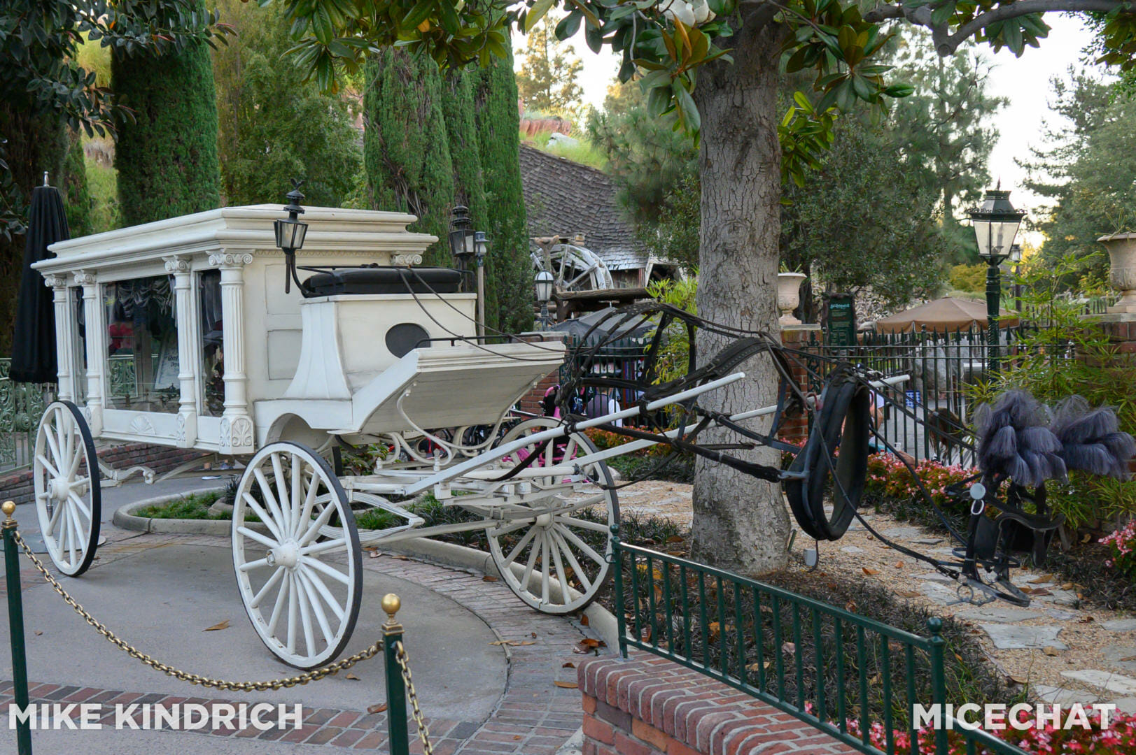, Disneyland Update: The Unfavorables, Halloween Screams, ToonTown Secrets