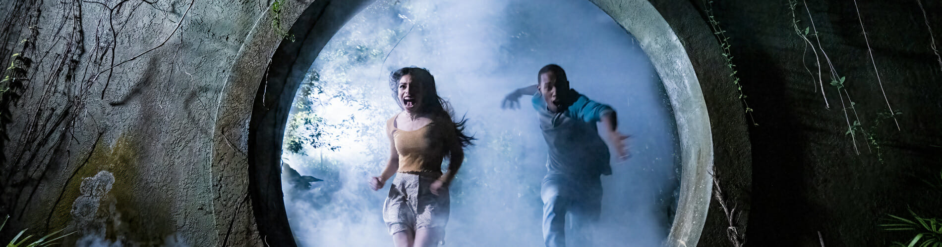 Busch Gardens Tampa Bay Howl-O-Scream
