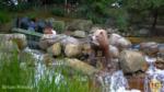 Knotts Berry Farm_Calico River Rapids_Bear