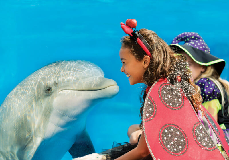 SeaWorld Orlando - SeaWorld Spooktacular