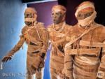 Universal Studios Hollywood Halloween Horror Nights Universal Monsters british museum mummies-micechat